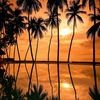 sunrae128